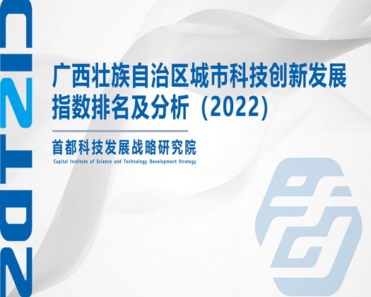 骚逼视频免费看【成果发布】广西壮族自治区城市科技创新发展指数排名及分析（2022）